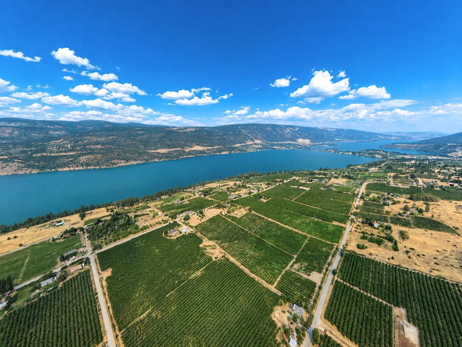 Wood Lake and Kalamalka Lake beyond the orchards
