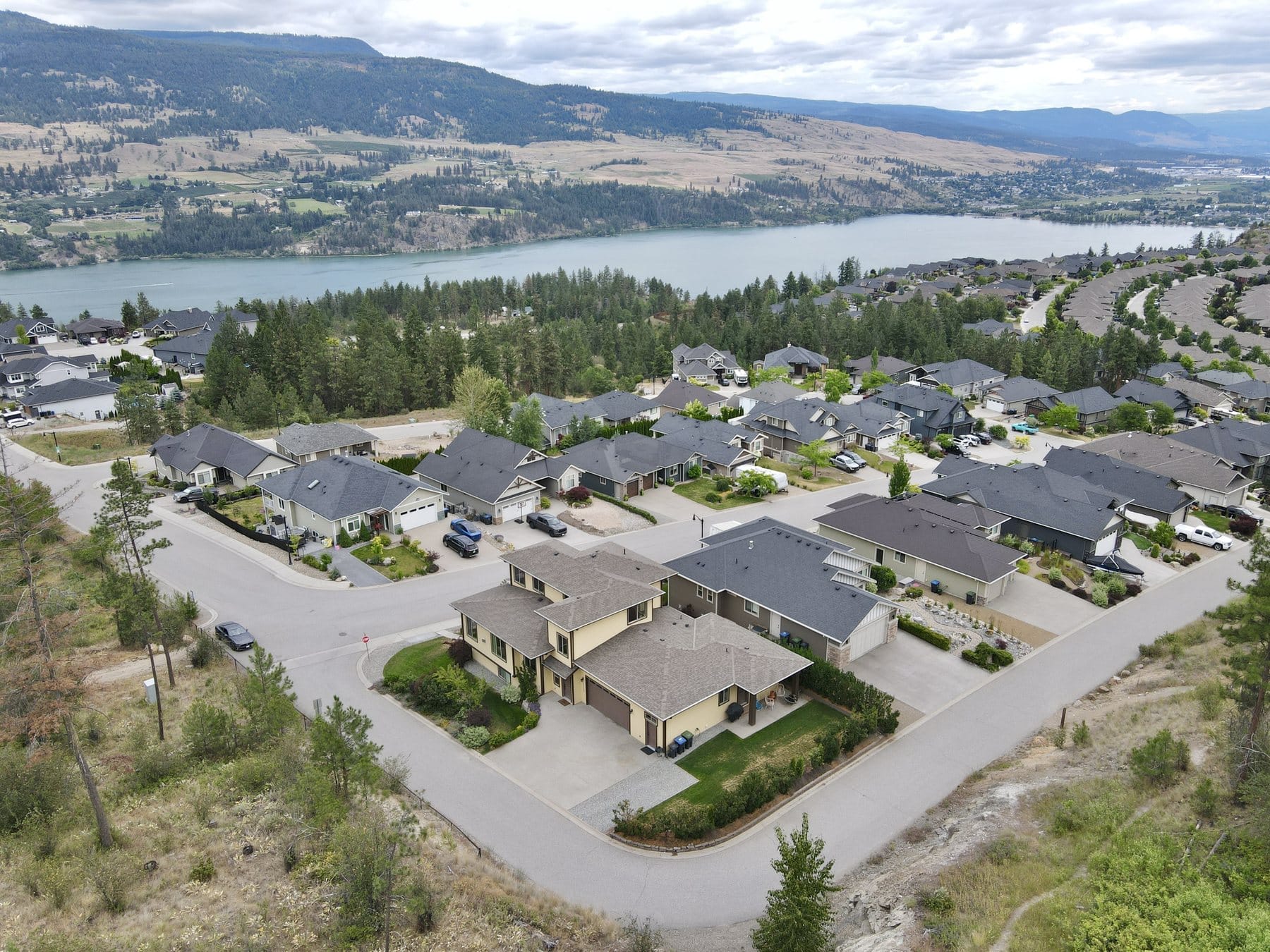 The Lakes neighbourhood from above