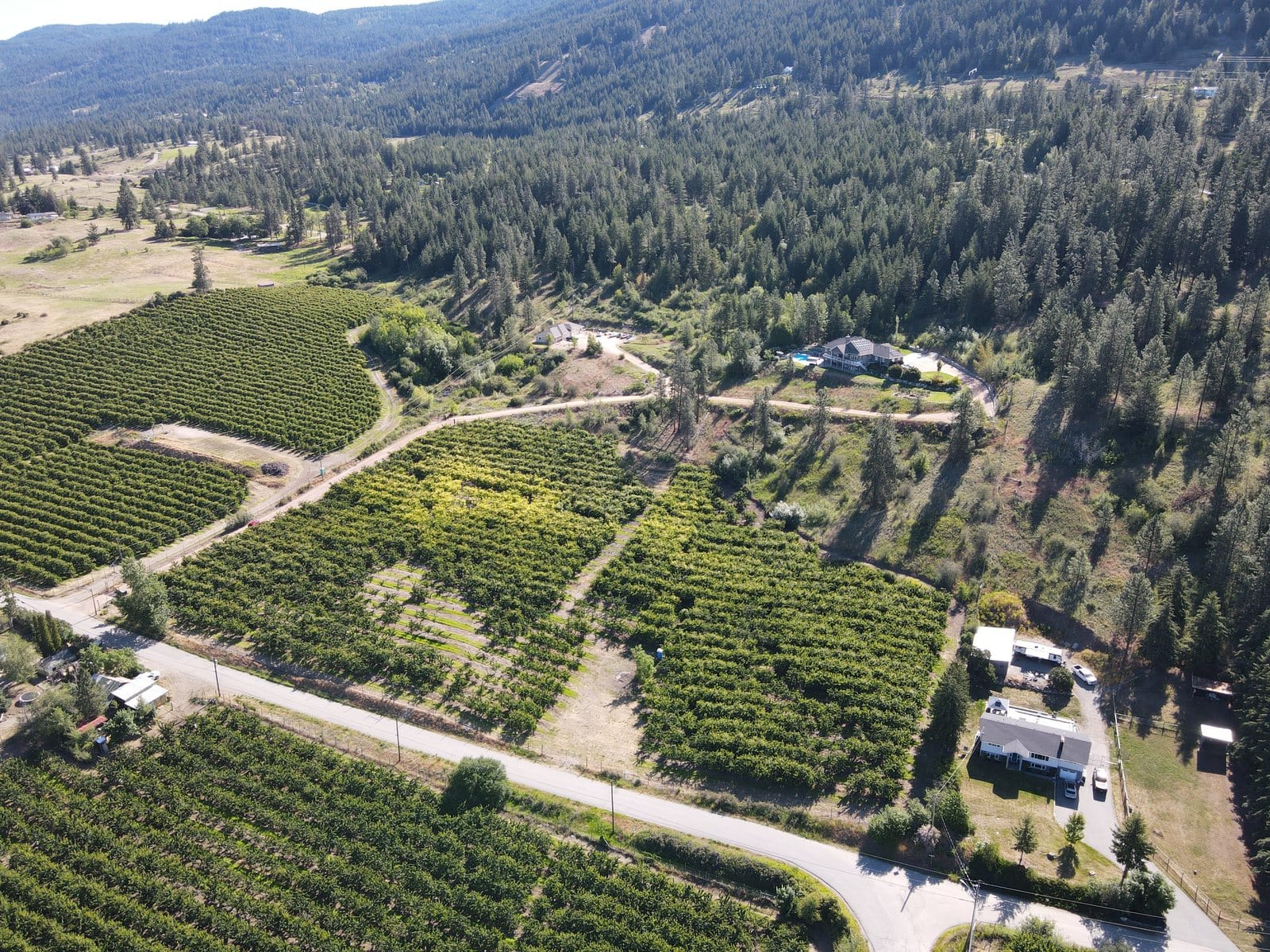 The orchards of Oyama