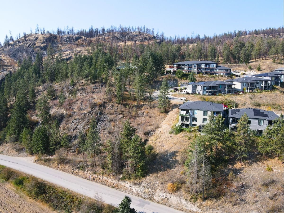 The hillside above the lot